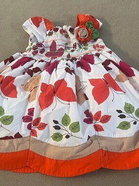 Donita Baby Girls Multicolor Butterfly Dress Sleeveless Size 9 Month